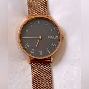 Skagen Denmark Rose Gold Women Watch Anita Night Sky Constellation Black Dial